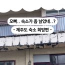 스테이일렁 이미지