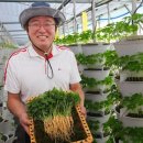 이선호농장 이미지