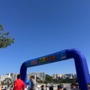 고래를기다리며 | 울산 고래마라톤 10km 후기 열탈진 증상 무서웠던 하루 러닝 번아웃까지