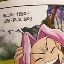 안투어 이미지