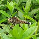 별바라기마을 이미지