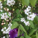 문해수행정사사무소 이미지