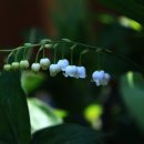 시냇가펜션 이미지