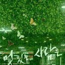 기대이상 Daum카페