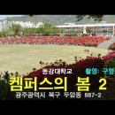 켐퍼스의 봄 2 - 동강대학교 이미지