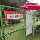 개떼놀이터 남양주 [애견운동장 강아지놀이터 펫 반려견] 이미지