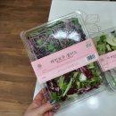더레인보우샐러드