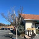 모리농장 | 후쿠오카 국도 맛집 농장 채소 스프카레 벳부 가는 길에 들른 곳