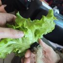 예촌경로당 이미지