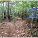 송백1리 이미지