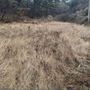 교로1리마을회관 이미지