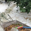 훈이농장 이미지