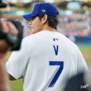 V-S 이미지