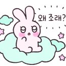 그린앤화이트 이미지