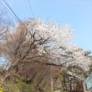 숲길농원 이미지