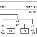 내셔널리그 2011 6강플레이오프 챔피언결정전 방법 일정 이미지