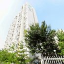 신월동217 이미지