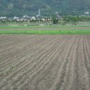 심산농장 이미지