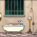 비둘기호텔 이미지