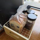 제주애단비 마주 이미지