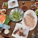 달봉이네애견 네이버블로그