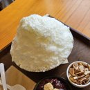 하회세계탈박물관 | 안동 하회세계탈박물관 / 하회네컷 / 탈빙고 빙수 후기