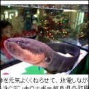 미가전기조명 이미지