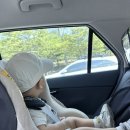 동상어린이집 | 식단•발달 육아 실전 기록 (615일차 육아일기, 광교 아쿠아플라넷 오픈런 후기, 어린이집 방학 마지막 날)