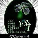 보세와차한잔 이미지
