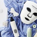 렉스포켓클럽 이미지