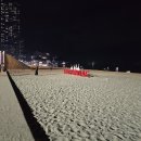 도시의 빛 | 밤에 보면 더 로맨틱한 2026 해운대 모래 축제 야간 산책 후기 (임산부 가벼운 산책 코스 추천)