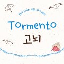 가곡의 별 | Tormento (고뇌) 해석, 발음, 가사분석 총정리-성악 입시생이 꼭 알아야 할 핵심 표현