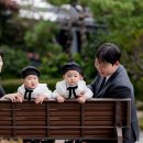 월명 일식 이미지