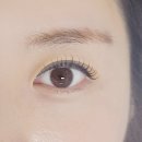 ㈜지에스아이환경 | 부산 하단 속눈썹펌 아이멜로즈 내돈내산 솔직후기