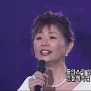 하얀민들레 이미지