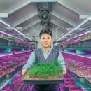 ㈜팜큐브 이미지