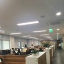 헬리오네이처