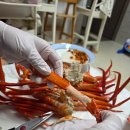 모들 | 홍게제철 집에서 즐긴 모들씨푸드 자숙홍게 3KG 후기 (홍게라면까지 완벽)