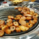 불막열삼 이미지