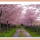 일철농장 이미지