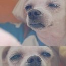 삼육출판사