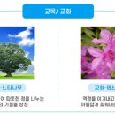 부산혜남학교 이미지