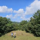 #3357 나는 누구인가? - 先山 伐草(선산 벌초) Ancestor&#39;s seedling mowing 이미지