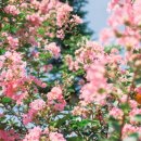 포충로61 이미지