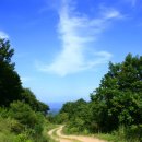 자연애민박 이미지