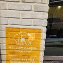멜로멜로우 이미지