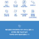 브이유통 | 강아지 췌장염 처방식 화식 케어브이 판크프 화식사료 후기(설사x 구토x 기호성good) 시크릿특가 할인...