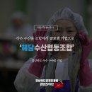 경북 우수 수산물 육성사업 후기 - 해담수산협동조합