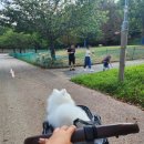 금이목장 이미지