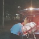 3일간동행